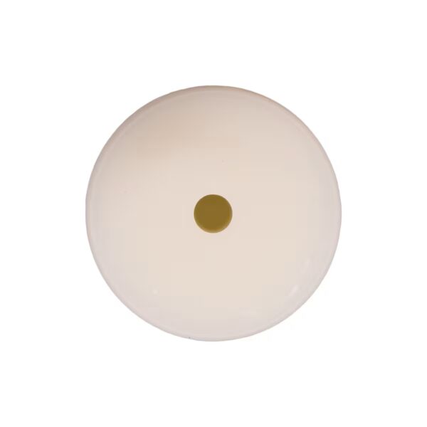 GM Door Panel Retainer with Sealer White Nylon 15 pcs.