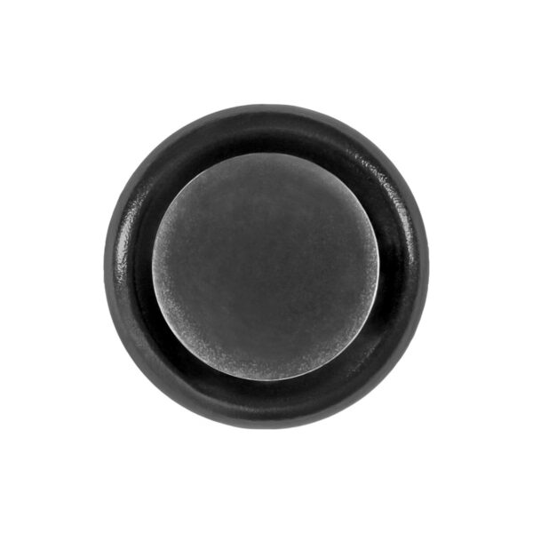 Lexus and Toyota Push-Type Retainer 10 pcs.