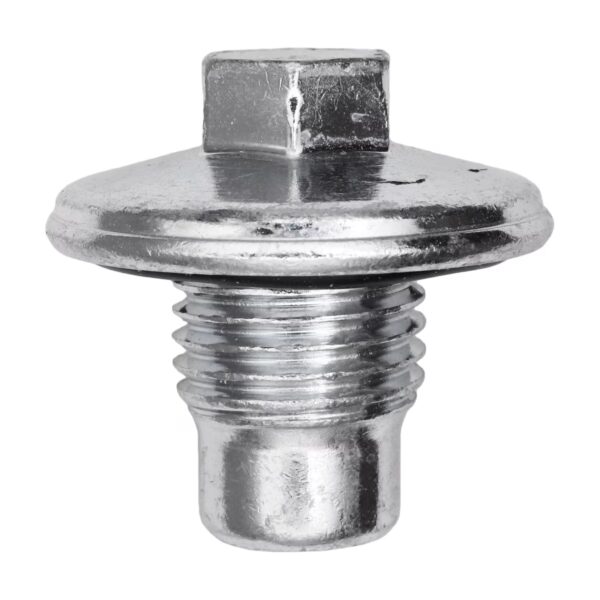 GM Oil Drain Plug and Gasket 2 pcs.
