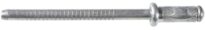 Lexus Specialty Rivet 25 pcs.