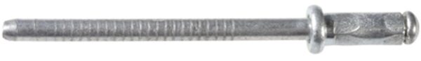 Lexus Specialty Rivet 25 pcs.